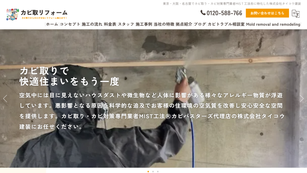 カビ取りフォームの公式サイト