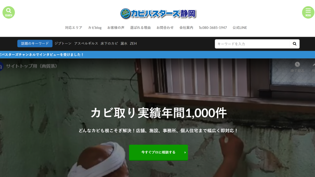 カビバスターズ静岡の公式サイト