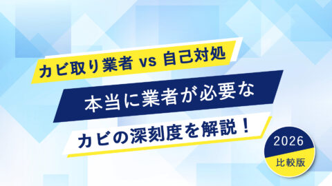 カビ取り業者 vs 自己対処｜本当に業者が必要なカビの深刻度を解説！
