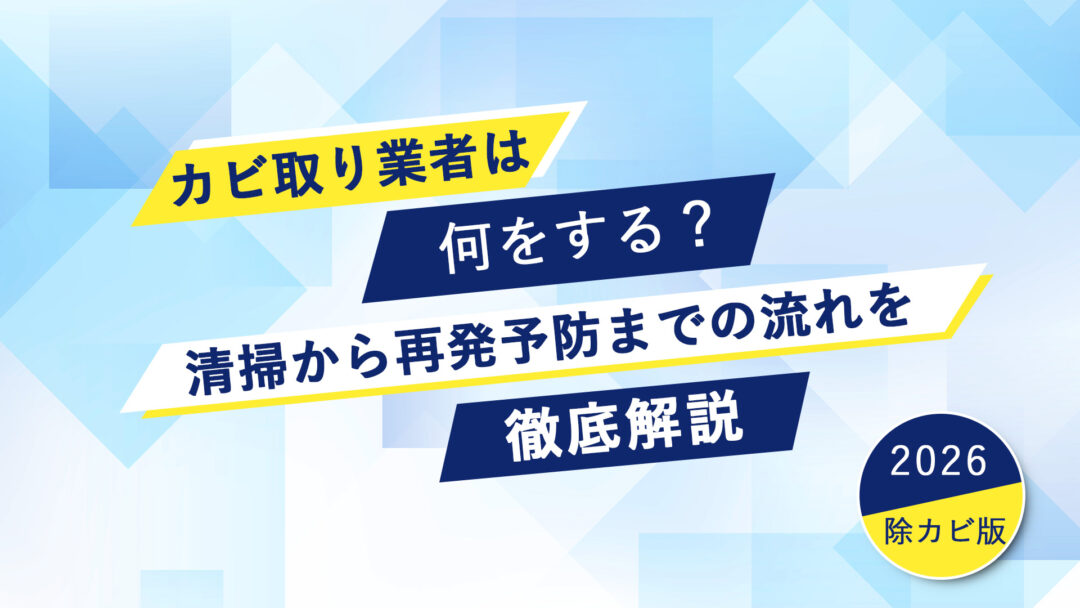 【除カビ処理】カビ取り業者は何をする？清掃から再発予防までの流れを徹底解説